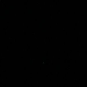 Meet your Posher, Ivy